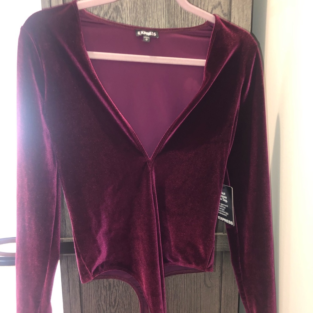 Velvet Deep-V Bodysuit